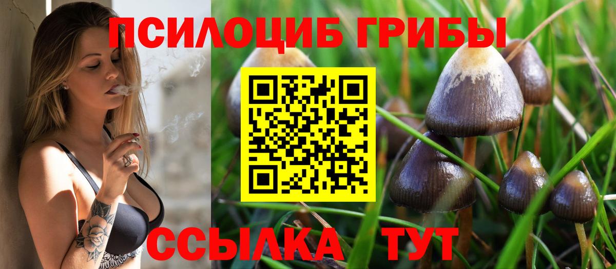 Туймазы  Галлюциногенные грибы мухоморы  Псилоцибиновые грибы прущие грибы  Вход с VPN 